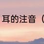 耳的注音（耳朵的耳字的拼音是什么）