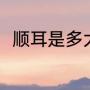 顺耳是多大年纪（顺耳是多大年纪）