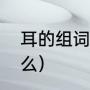 耳的组词有哪些词语（耳的组词是什么）