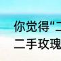 你觉得“二手玫瑰”这只乐队怎么样（二手玫瑰枉凝眉女的是谁）