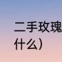 二十不惑姜振宇和谁在一起（20不惑牛骏峰关晓彤接吻了吗）