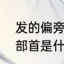 发的偏旁部首是什么偏旁（“发”字的部首是什么）