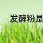 发酵粉是什么（酵母是什么东西）