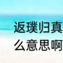 返璞归真是什么意思（返璞归真是什么意思啊）