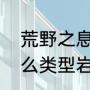 荒野之息火山章鱼位置（片麻岩是什么类型岩石，是怎么形成的）