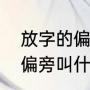 放字的偏旁攵的名称叫什么（放字的偏旁叫什么）