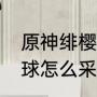 原神绯樱绣球怎么采摘（原神绯樱绣球怎么采摘）