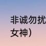 非诚勿扰的四大名人（非诚十大漂亮女神）