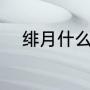 绯月什么寓意（绯月修行录攻略）