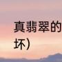 真翡翠的鉴别方法（怎样辨别翡翠好坏）