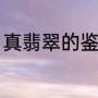 真翡翠的鉴别方法（翡翠的辨别方法）