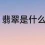 翡翠是什么材质（翡翠是玉的一种吗）