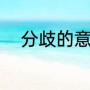 分歧的意思（分歧是什么意思啊）