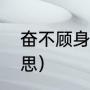 奋不顾身是什么意思（奋不顾身的意思）