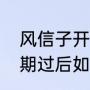 风信子开花后的养殖技术（风信子花期过后如何处理）