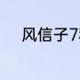 风信子7种花语（风信子的花语）