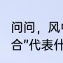 问问，风中百合是什么意思（“风里百合”代表什么意思呢）