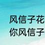 风信子花花语（你知道我为什么要送你风信子吗）