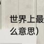 世界上最大的野生蜂巢排名（蜂巢什么意思）
