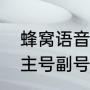 蜂窝语音与数据怎么设置（蜂窝数据主号副号怎么设置）