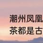 潮州凤凰单枞茶十大排名（凤凰单丛茶都是古树吗）