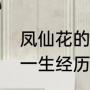 凤仙花的生长过程是怎样的（凤仙花一生经历哪几个阶段）
