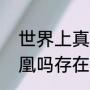 世界上真的存在凤凰么（世界上有凤凰吗存在，还是灭绝了）