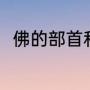 佛的部首和组词（大佛的佛是几声）