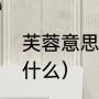 芙蓉意思是好还是坏（芙蓉葵花语是什么）