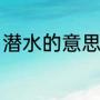 潜水的意思是什么（什么是无氧潜水）