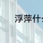 浮萍什么意思（浮萍什么意思）