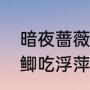 暗夜蔷薇魅是浮萍居主写的吗（中科鲫吃浮萍草吗）