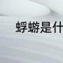 蜉蝣是什么动物（蜉蝣身体结构）