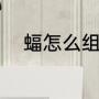 蝠怎么组词（蝠字能组哪些词语）