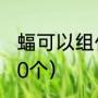 蝠可以组什么词是两个字的（蝠组词10个）