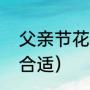 父亲节花推荐（父亲节子女送什么花合适）