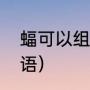蝠可以组什么词是两个字的（蝠组成语）