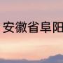 安徽省阜阳十大特产（阜阳特色零食）