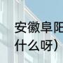 安徽阜阳酒妹的读音（阜阳的“阜”念什么呀）