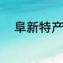 阜新特产是什么（阜新小吃特产）
