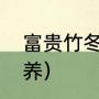 富贵竹冬天怎么养（富贵竹冬天怎么养）