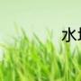 水培富贵竹正确养法