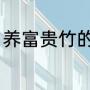 养富贵竹的正确方法（富贵竹种植法）