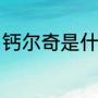 钙尔奇是什么钙（钙尔奇紫钙怎么样）