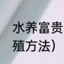 水养富贵竹正确方法（水养富贵竹养殖方法）