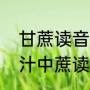 甘蔗读音轻声还是四声（甘蔗和甘蔗汁中蔗读音一样吗）