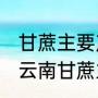 甘蔗主要产于哪里,哪里的甘蔗最好（云南甘蔗主要产地）