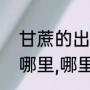 甘蔗的出产地是哪里（甘蔗主要产于哪里,哪里的甘蔗最好）