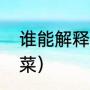 谁能解释为什么叫甘蓝（甘蓝是什么菜）