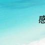 感恩节是几月几号